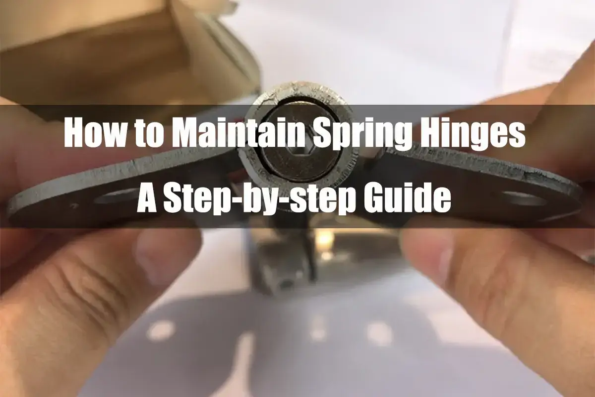 Maintain Spring Hinges