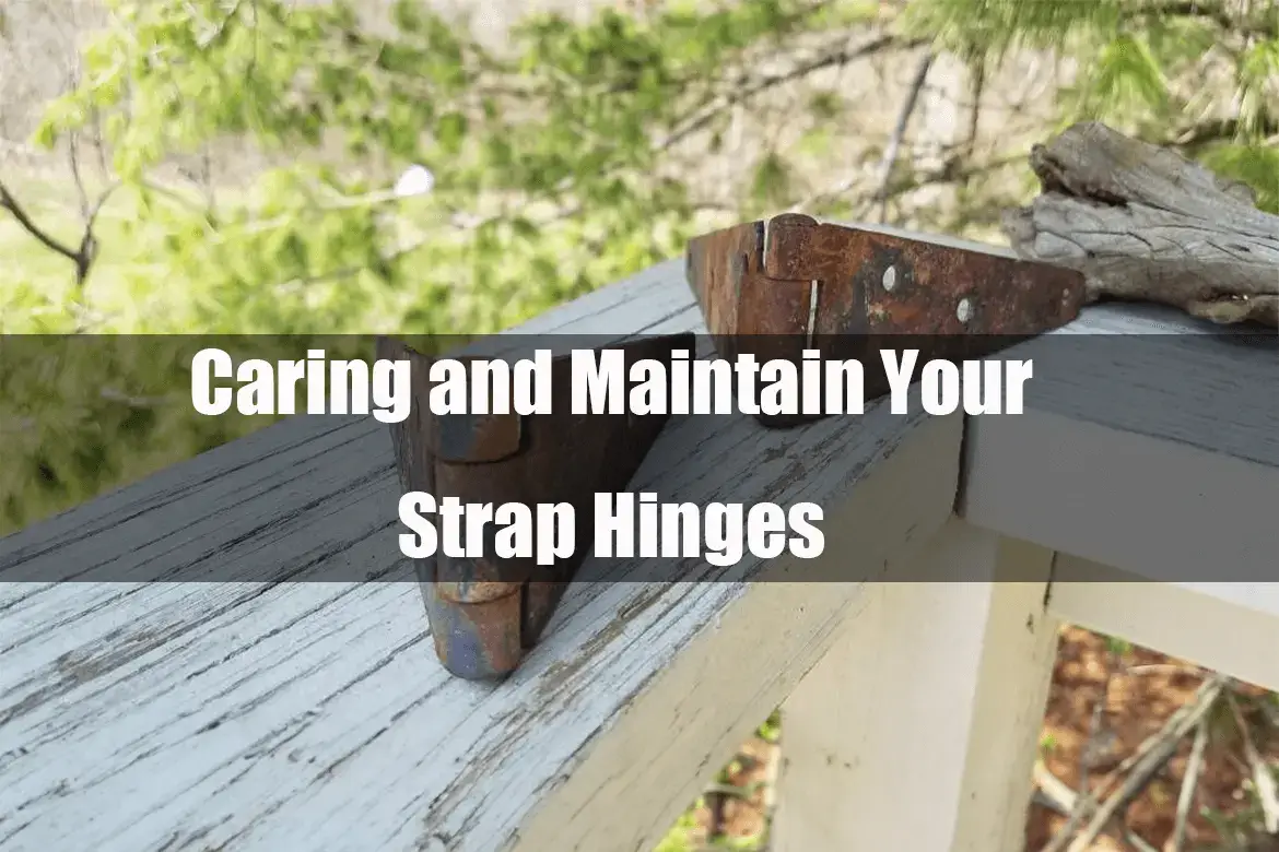 Caring for Your Strap Hinges