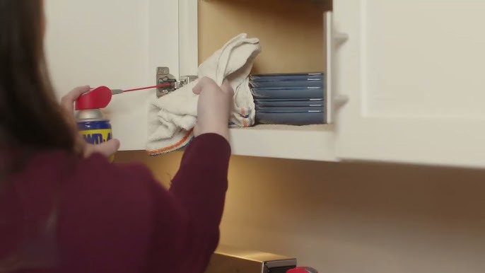 fix a squeaky cabinet hinge